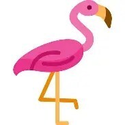 Fundraising Page: FLAMAZING FLAMINGO'S